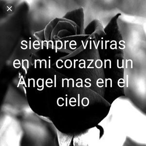 Meet your Posher, Maritza